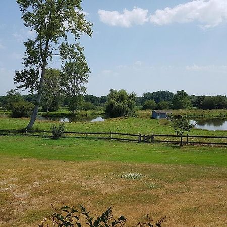 Gite 4Kms Plage Grand Domaine Prive Lacs Natura 2000 Lit-et-Mixe Exteriör bild