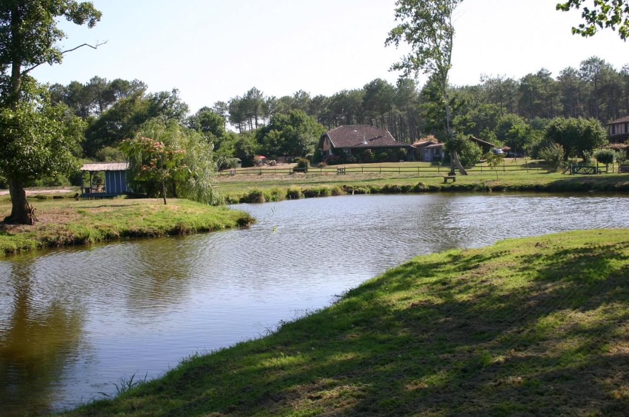 Gite 4Kms Plage Grand Domaine Prive Lacs Natura 2000 Lit-et-Mixe Exteriör bild